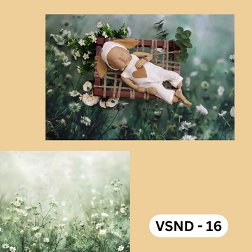VNFB - 16