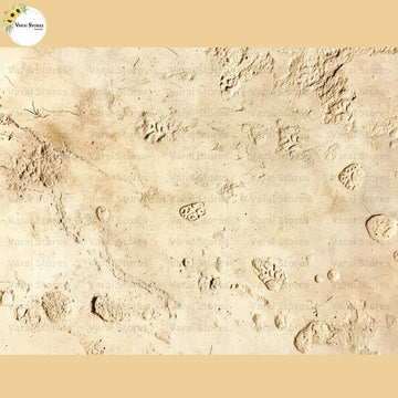 Beach Wet Sand - Baby Printed Backdrops - PREMIUM FABRIC