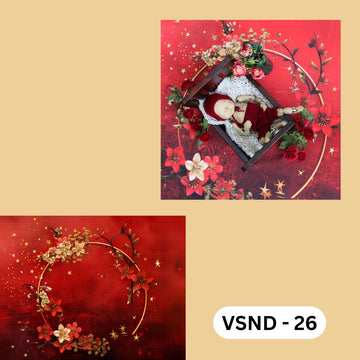 VNFB - 26