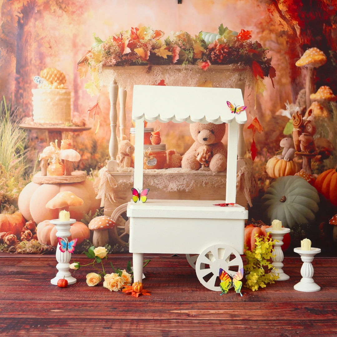 Varai Studio Package (9 Themes) - ( Bangalore Branch)