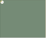 Pastel Olive Green - Printed Baby Backdrop - FABRIC (PRE ORDER)
