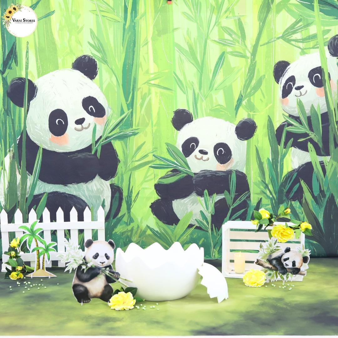 Varai Studio Package (10 Themes) -  Hyderabad   Branch