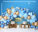 Royal Prince - Printed Baby Backdrop - FABRIC (PRE ORDER)