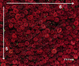 Roses - Printed Baby Backdrop - FABRIC (PRE ORDER)
