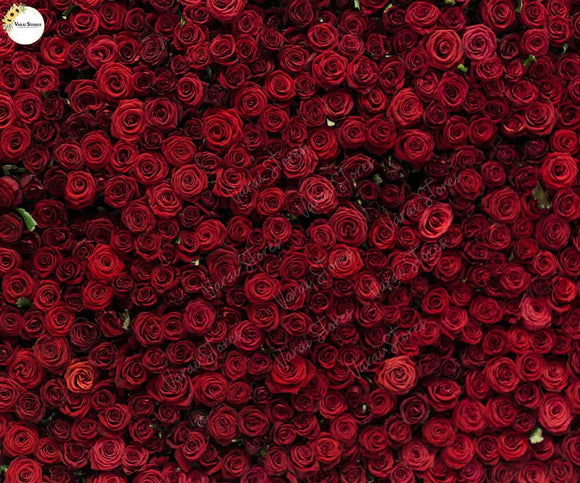 Roses - Printed Baby Backdrop - FABRIC (PRE ORDER)