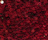 Roses - Printed Baby Backdrop - FABRIC (PRE ORDER)