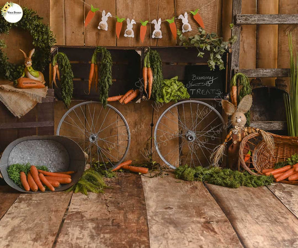 Carrot Land - PRINTED BABY BACKDROP - FABRIC (PRE ORDER)