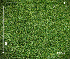 Grass Field - PRINTED BABY BACKDROP - FABRIC (PRE ORDER)