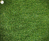 Grass Field - PRINTED BABY BACKDROP - FABRIC (PRE ORDER)