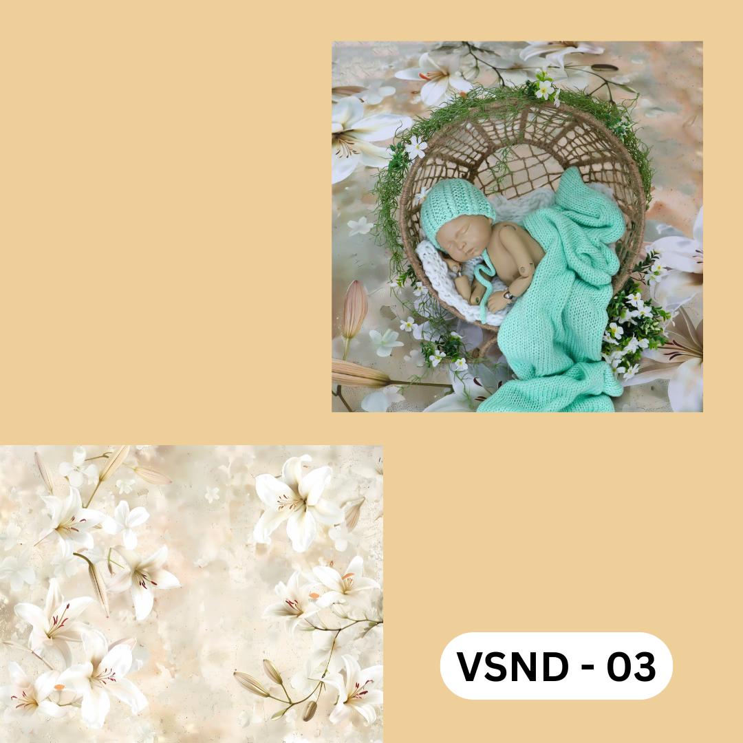 VNFB - 03