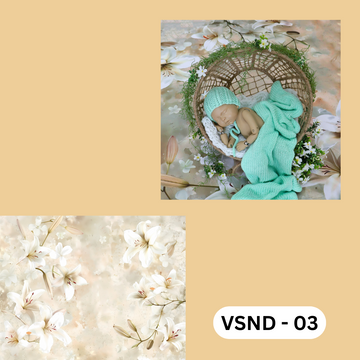 VNFB - 03
