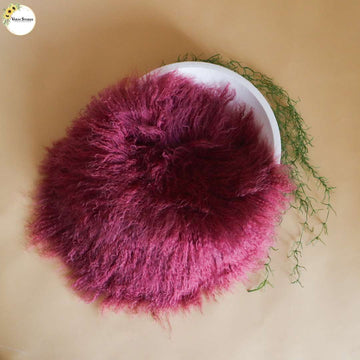 Curly Fur