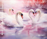 Swan Lake - Printed Baby Backdrop - FABRIC (PRE ORDER)