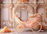 Peach Chariate - Printed Baby Backdrop - FABRIC (PRE ORDER)