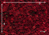 Roses - Printed Baby Backdrop - FABRIC (PRE ORDER)