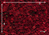 Roses - Printed Baby Backdrop - FABRIC (PRE ORDER)
