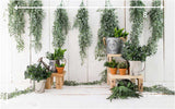 Green Spring - Printed Baby Backdrop - FABRIC (PRE ORDER)