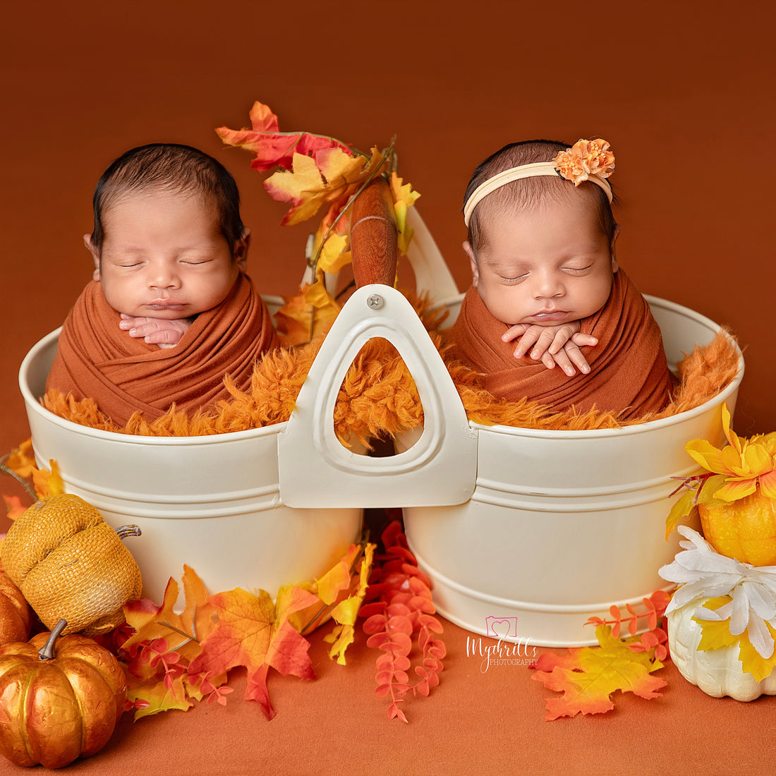 Twin Bucket