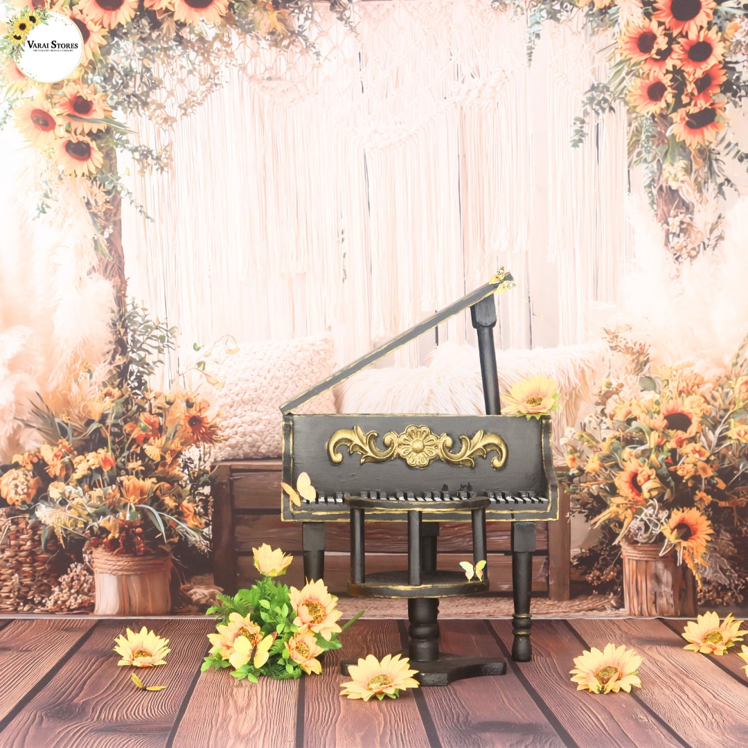 Varai Studio Package (9 Themes) - ( Bangalore Branch)