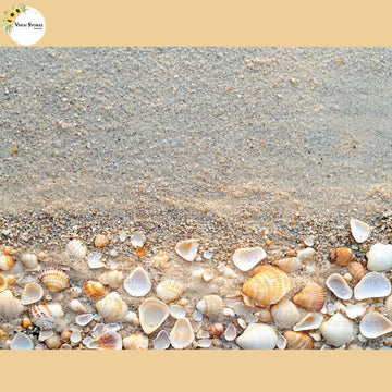 Sand With Shells - Baby Printed Backdrops - PREMIUM FABRIC