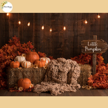 Little Pumpkin - Baby Printed Backdrops - PREMIUM FABRIC