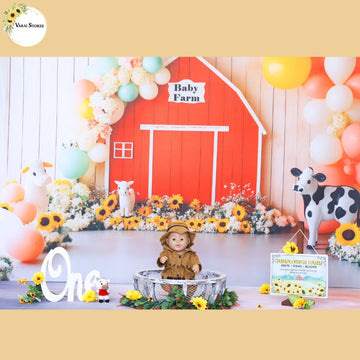 Baby Photography Setup - 17  (Hyderabad Branch)