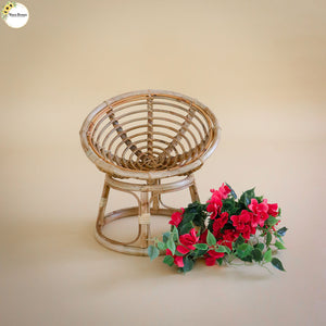 Moon Chair