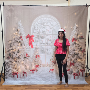 Christmas Window - Fabric (8x8) Feet