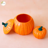 Pumpkin + Mini Pumpkin Set