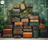 Suitcase Wall - Printed Baby Backdrop - FABRIC (PRE ORDER)