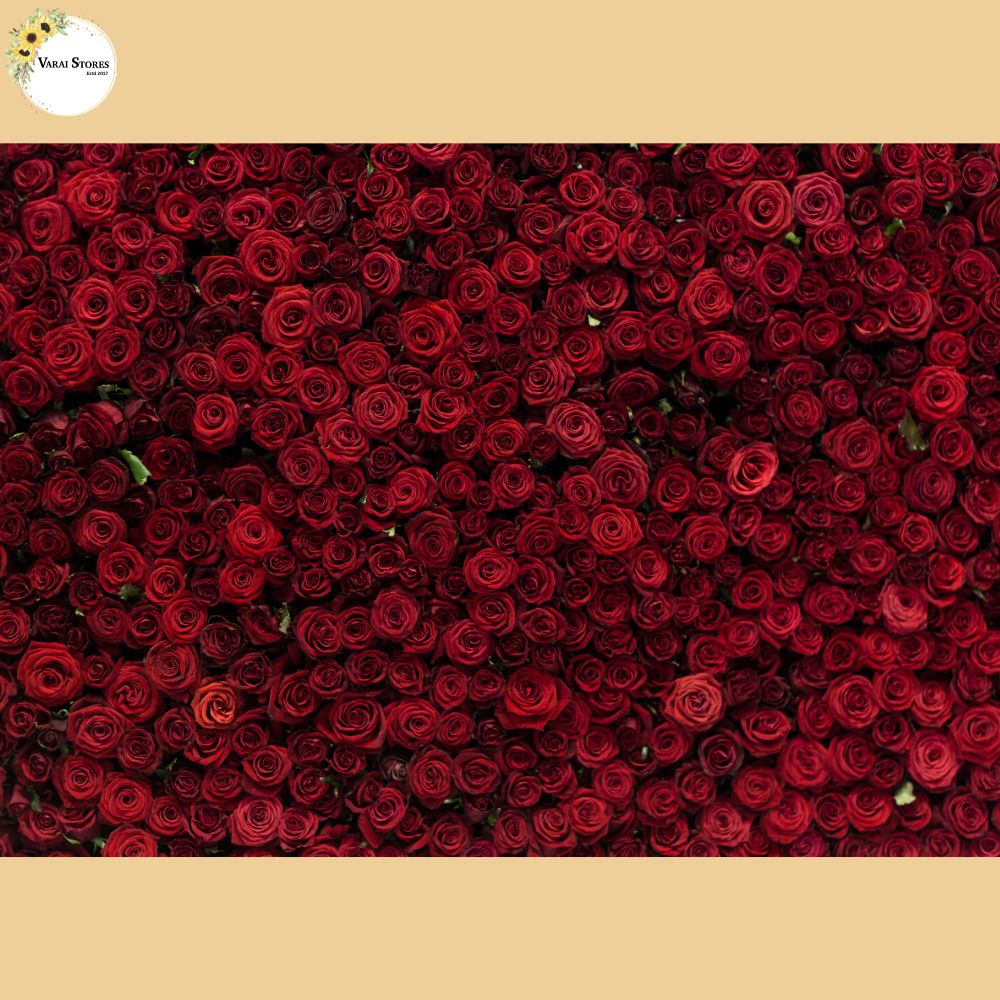 Roses - Baby Printed Backdrops - PREMIUM FABRIC