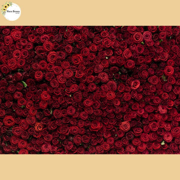 Roses - Baby Printed Backdrops - PREMIUM FABRIC