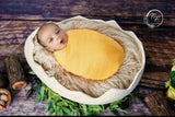 Egg Shell - OVAL