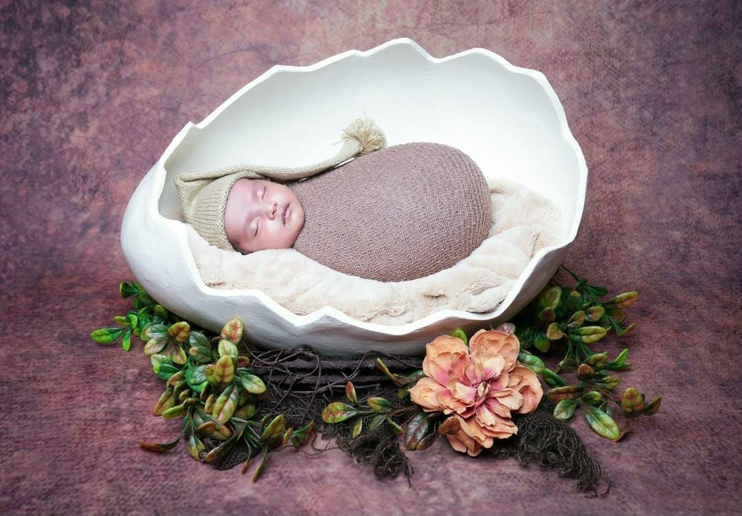 Egg Shell - OVAL
