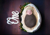 Egg Shell - OVAL