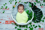 Egg Shell - ROUND