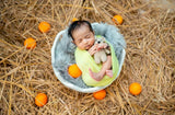Egg Shell - ROUND