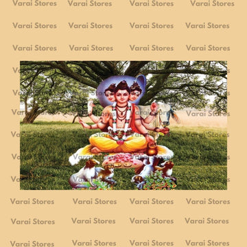Decor Customised Backdrop - 100  (Whatsapp for placing order) Size: 5x5  Feet