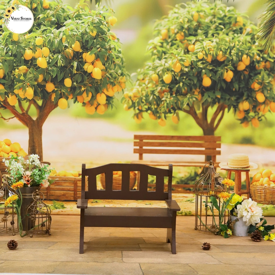 Varai Studio Package (10 Themes) -  Hyderabad   Branch