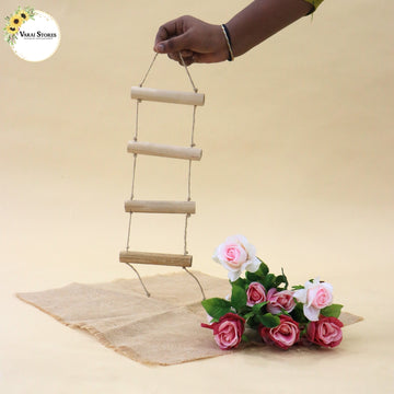Newborn ladder