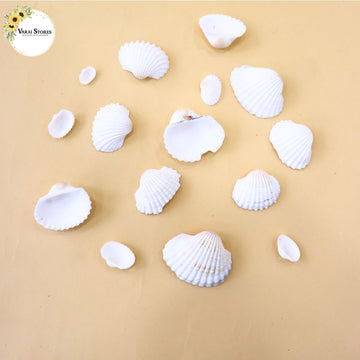 Shells