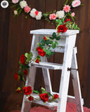 Ladder - SMALL