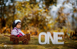 ONE (LARGE)