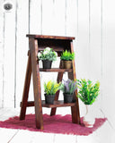 Ladder - SMALL