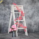 Ladder - BIG