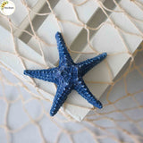 Star Fish