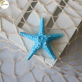 Star Fish