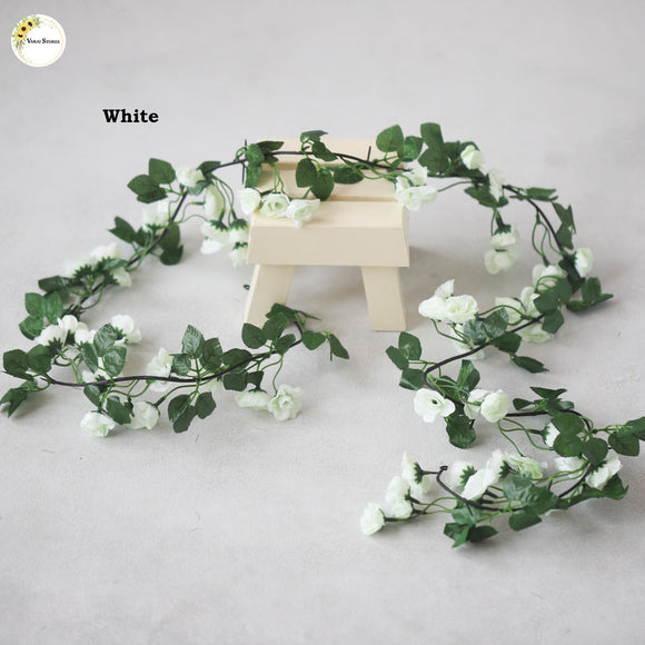 Rose Creeper - White