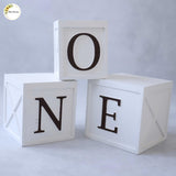 3 in 1 Apple Box - Set of 3