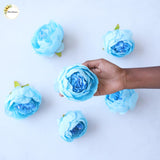 Big Peony Heads (Set of 6 )